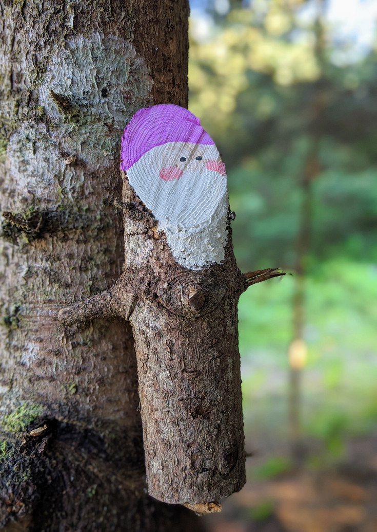 Painted dwarf with a purple hat on a tree