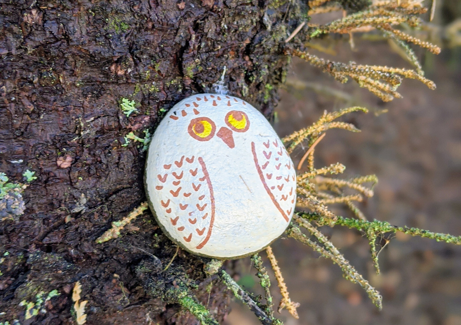 Painted rock owl on the forest floor