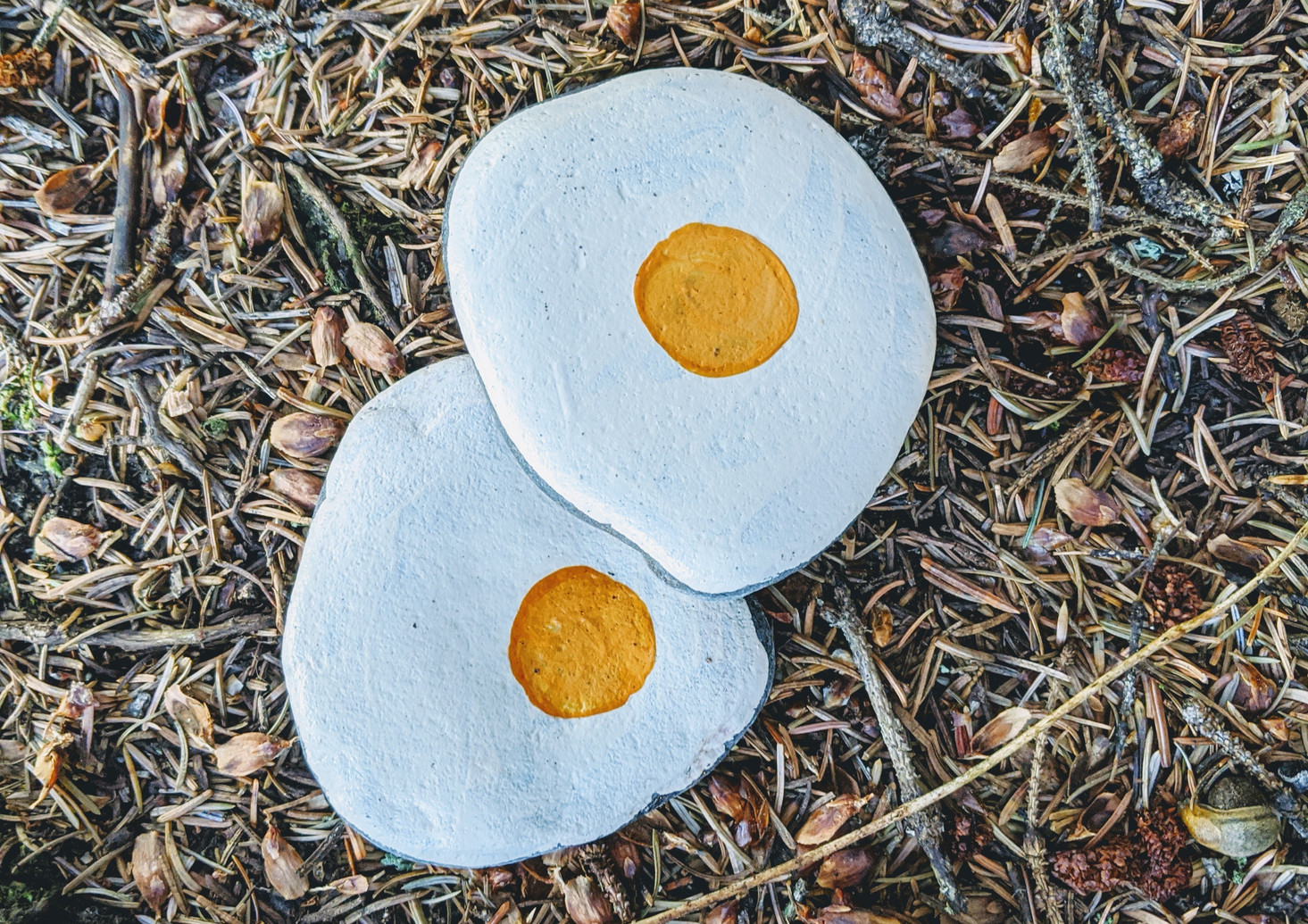 Two painted rocks with fried-egg designs on moss