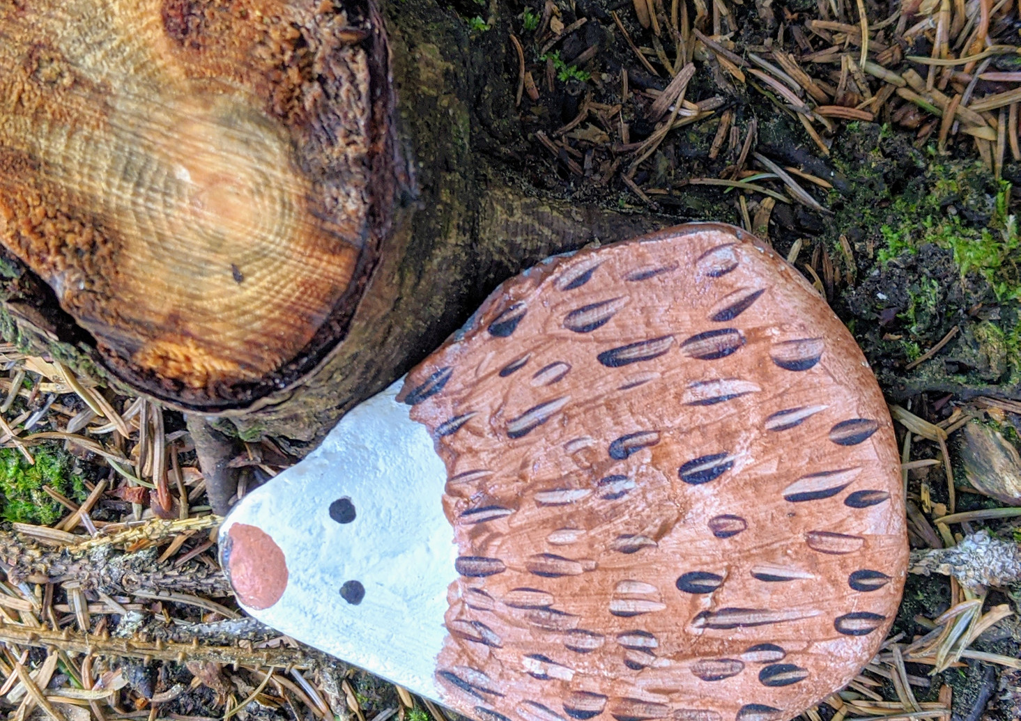 Painted rock with a hedgehog face beside a pinecone